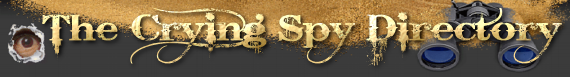 spydir.png (74250 bytes)